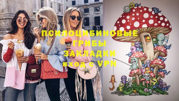 ГАЛЛЮЦИНОГЕННЫЕ ГРИБЫ Балахна