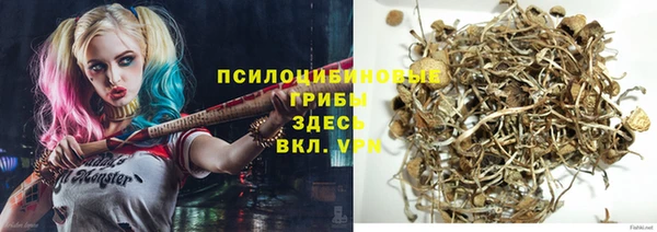 спайс Баксан